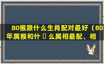 80猴跟什么生肖配对最好（80年属猴和什 ☘ 么属相最配、相克）